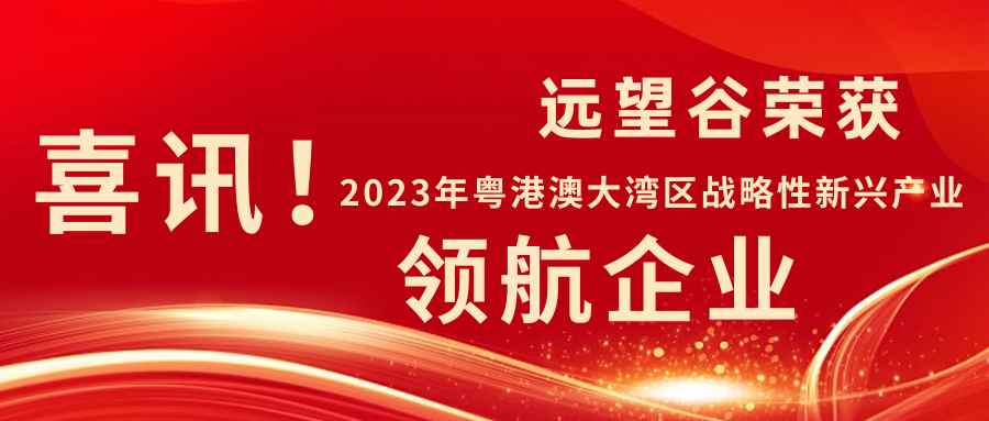新年迎喜讯 | 云顶集团welcome官网荣获2023年粤港澳大湾区战略性新兴产业“领航企业”！